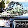 kwiaciarnia86_czestochowa-dekoracje-samochodow-11